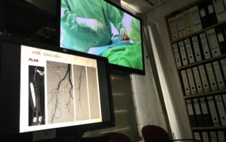 Endovascular Training Course